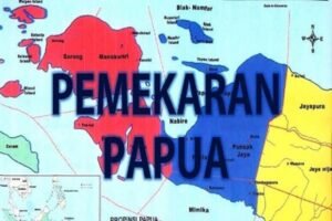 pemekaran-papua-vzc