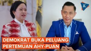 puan-ahy
