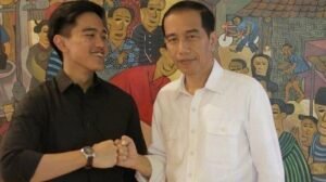 kaesansajokoerie