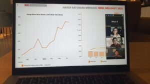webinarperpu
