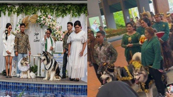 SOSOK-Indira-Ratnasari-atau-Nena-Ghoib-Gelar-Pernikahan-Mewah-Untuk-Anjingnya-Habis-Rp200-Juta
