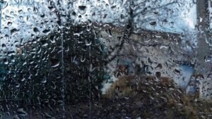 rain-outside-the-window-6105637_960_720