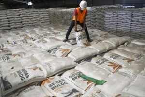 stok-beras-bulog
