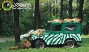 taman-safari-prigen