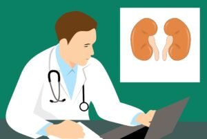 kidney-3667909_960_720