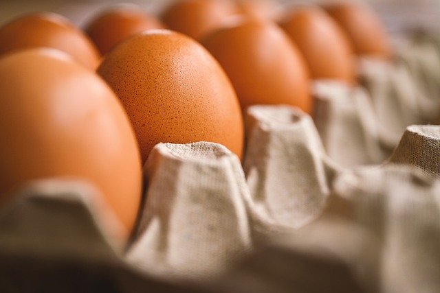 egg-7345934_640