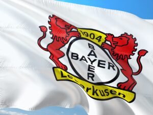 flag-2972108_1280
