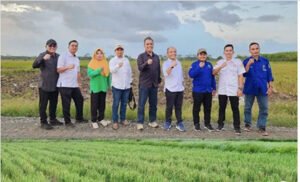 dirjen-kebun