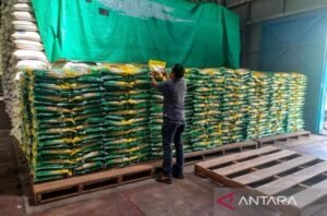 Beras-Bulog-Antara-1