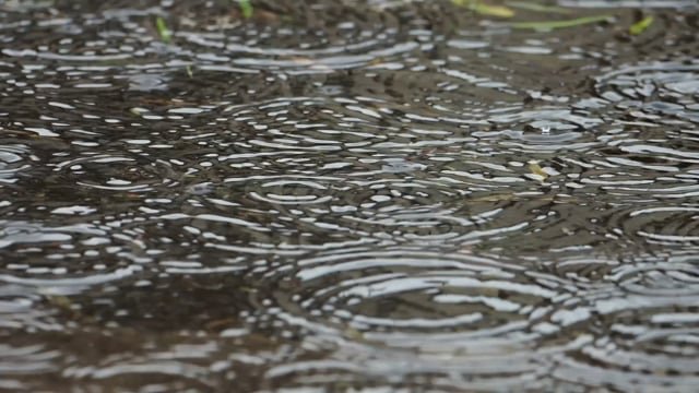 hujan-lebat-banjir-pixabay