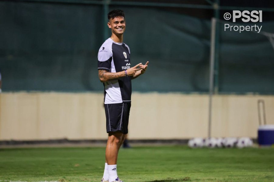 mees-hilgers-pssi