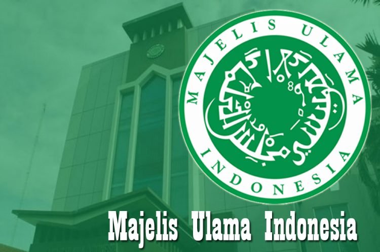 logo-mui