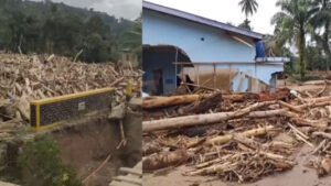 kayu-banjir-sumatra