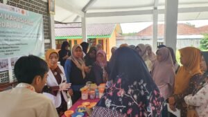 program-mahasiswa-berdampak2