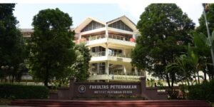 1000244745