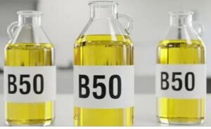 1000265379