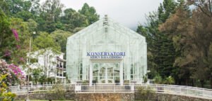 kebun-raya-cibodas
