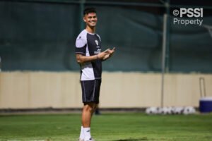 mees-hilgers-pssi