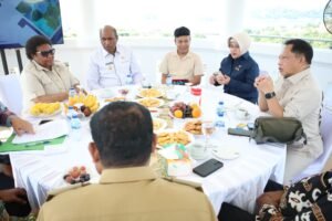 mendagri-rapat-bundar-papua