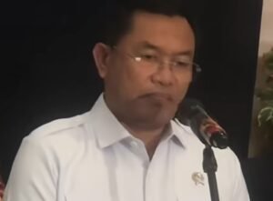sony-sonjaya