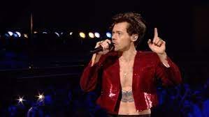 hary-style