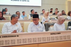 kepala-bkn-zudan-di-komisi-2-dpr