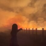Karhutla Gunung Bromo, TNBTS Hitung Kerugian Lingkungan dan Ekonomi
