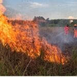 Kebakaran Hutan Parah Kepung Kalimantan, BNPB Ungkap Kondisi dan Langkah Penanganan