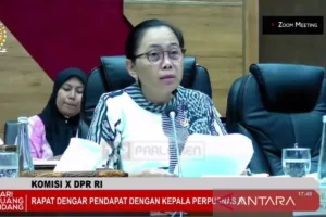 Wakil-Ketua-Komisi-X_RDP-Perpusnas.jpg