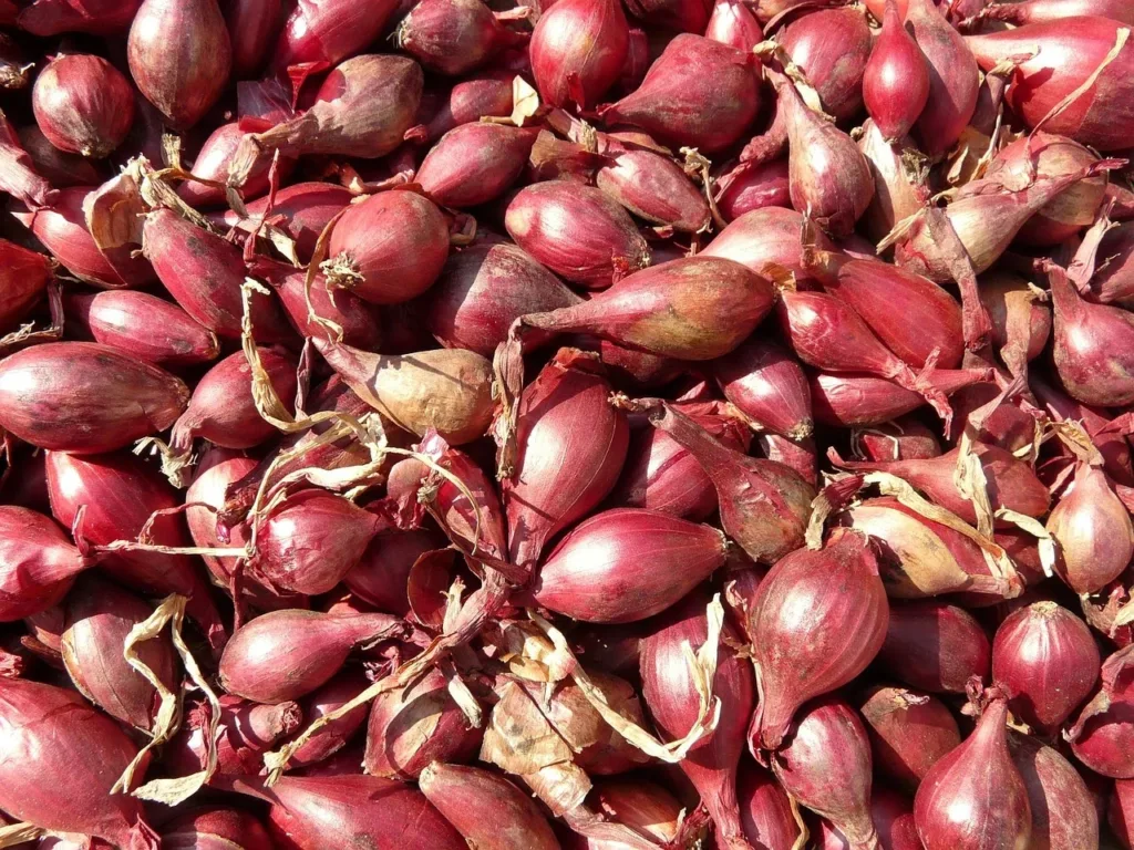 bawang-merah-pixabay