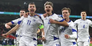 bosnia-timnas