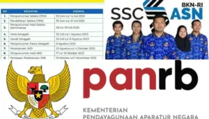 cpns
