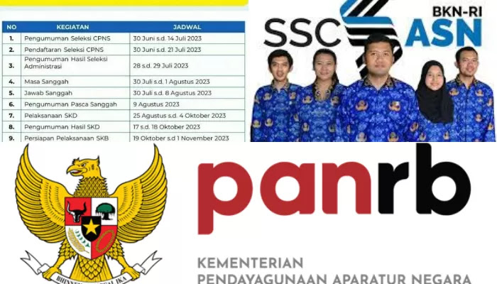 cpns