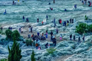 dieng-embun-upas