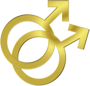 gay-636685_640