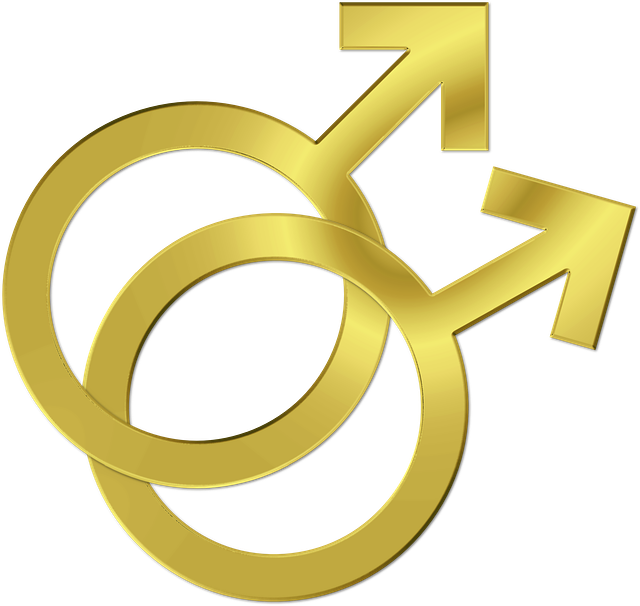 gay-636685_640