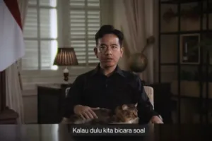 gibran-wapres-kucing