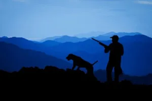 hunting-3145387__340