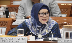 ina-dpr