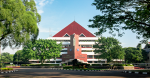ipb-university