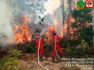 karhutla muara bulian