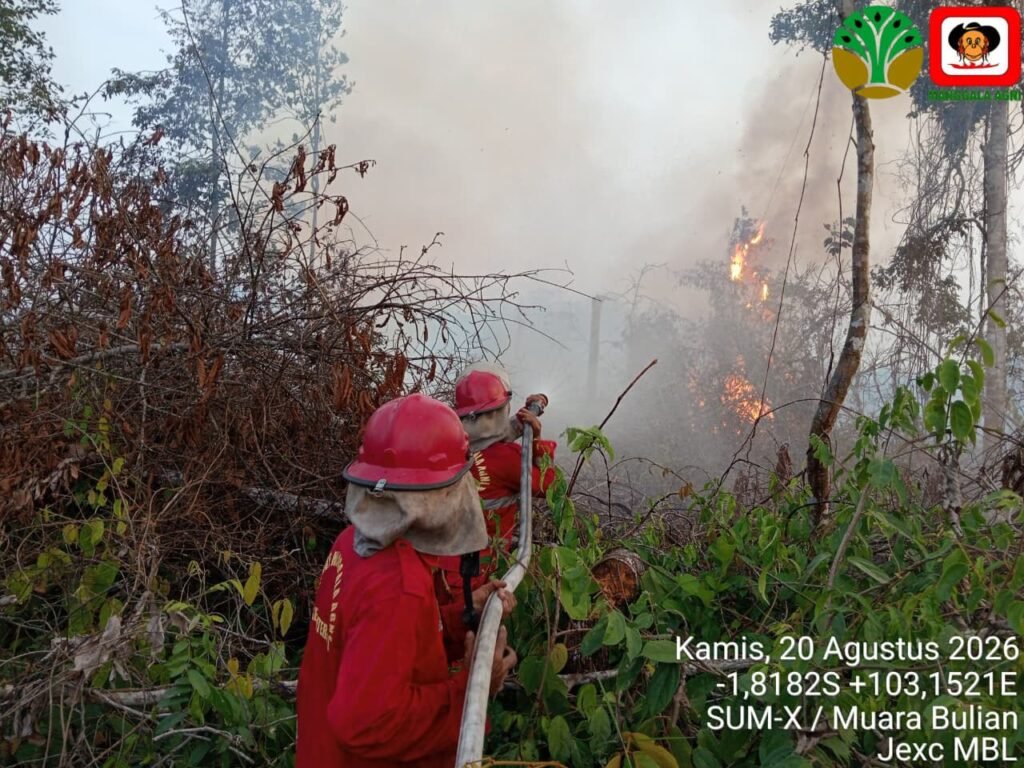 kebakaran hutan kemenhut