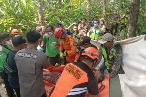 lansia-meninggal-di-pohon-kelapa