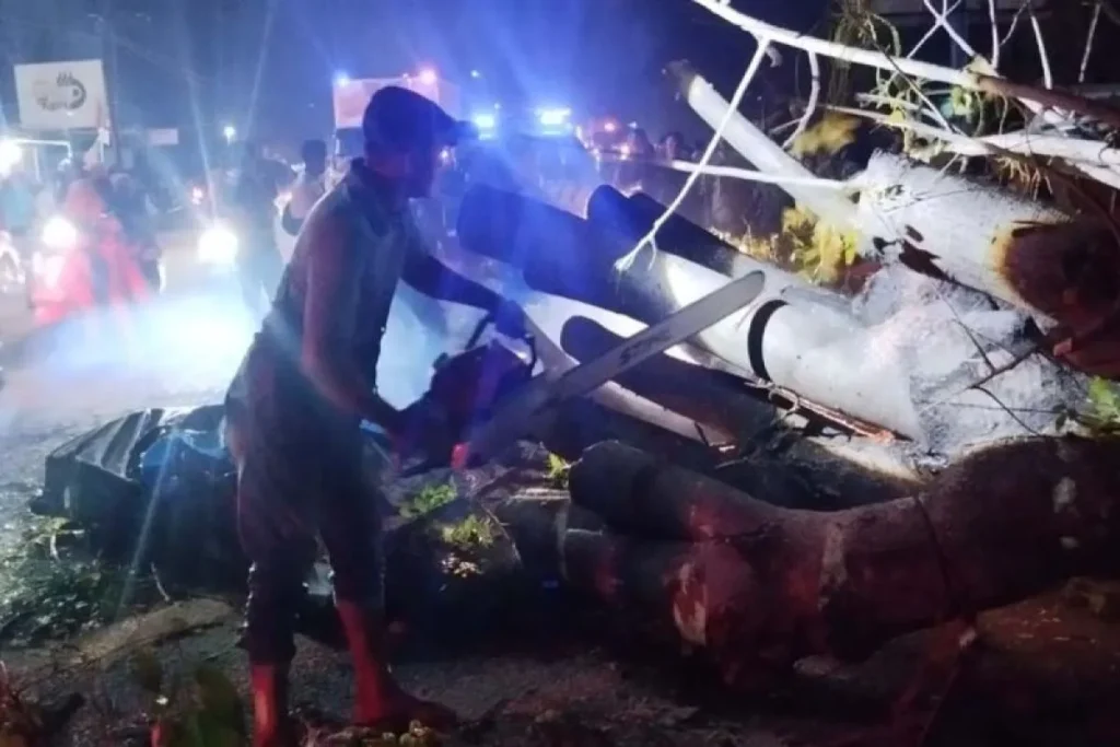Petugas BPBD membersihkan material pohon tumbang menyebabkan tujuh orang meninggal dunia di Pidie, Aceh, Selasa (11/8/2026) malam.