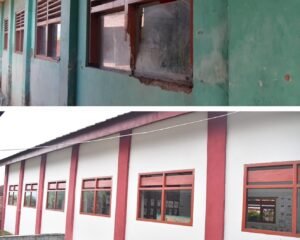 revitalisasi wonosobo