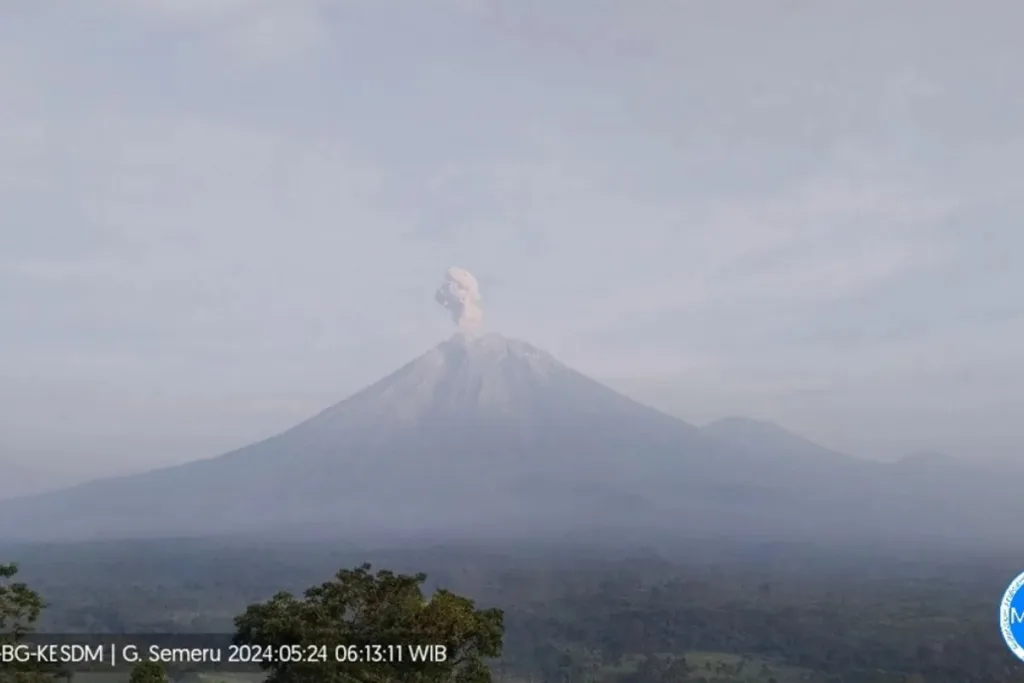 semeru-meletus-pvmbg