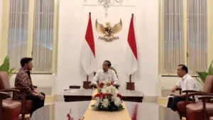syahrul-jokowi