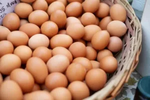 telur-ayam-freepik