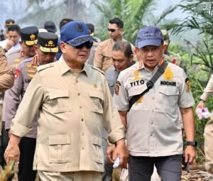tito prabowo karhutla