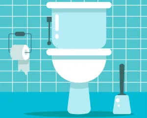 toilet-5581516_1280